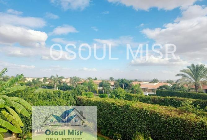 53725874 - Property Image 3