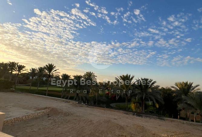 99808477 - صورة العقار 3