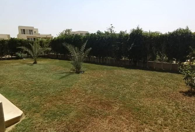 97423893 - صورة العقار 2