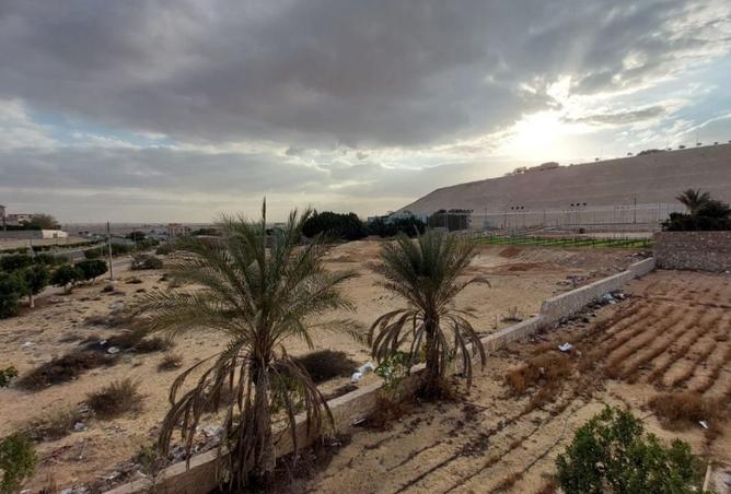 109358755 - صورة العقار 3