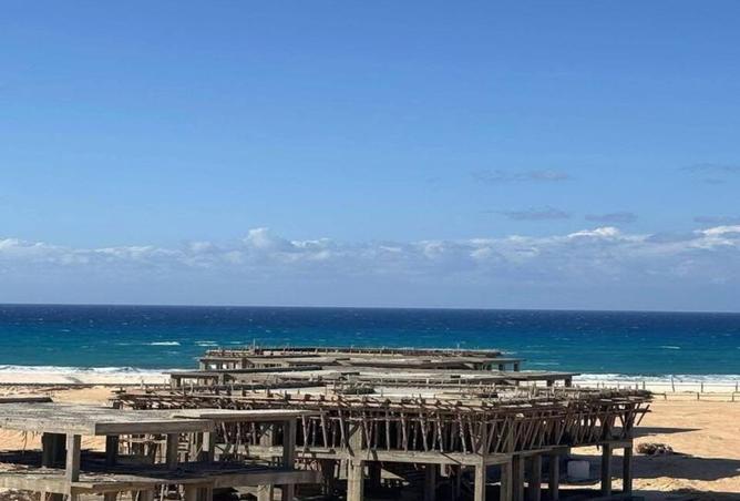 87784787 - صورة العقار 3