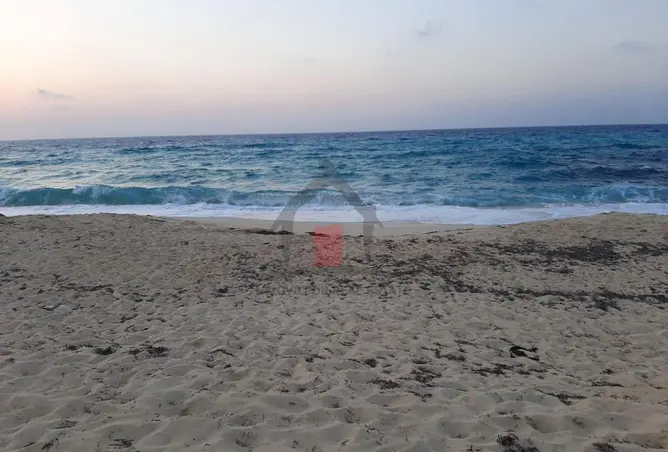 110743399 - صورة العقار 3