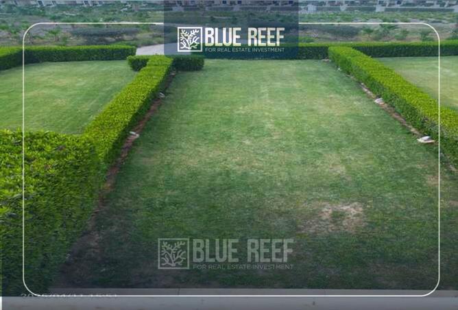 66954151 - Property Image 2