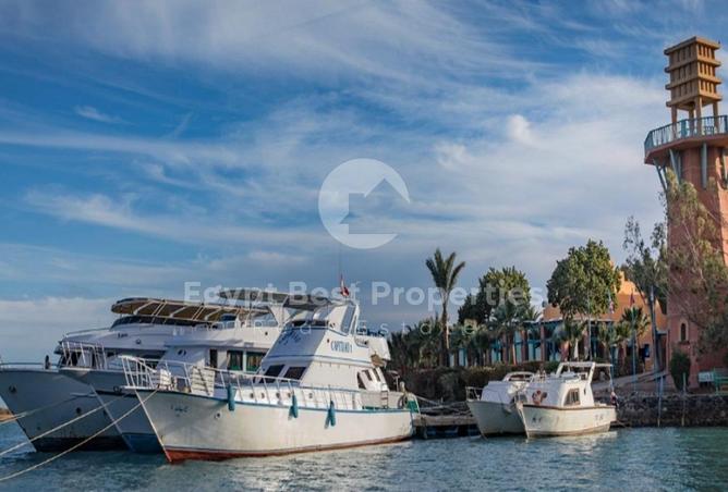 8486816 - Property Image 3