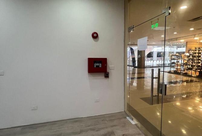 8538160 - Property Image 3