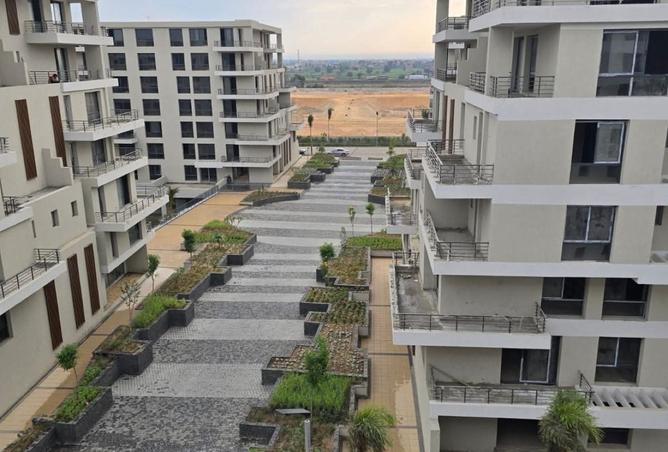 8483903 - Property Image 3