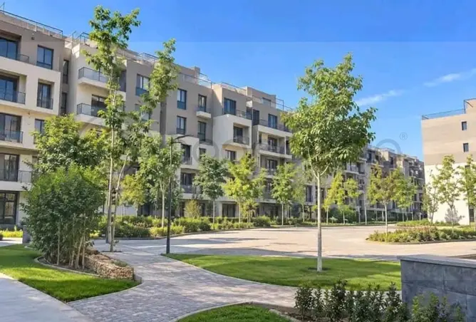 113820877 - Property Image 3