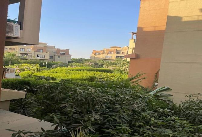 97998794 - صورة العقار 2