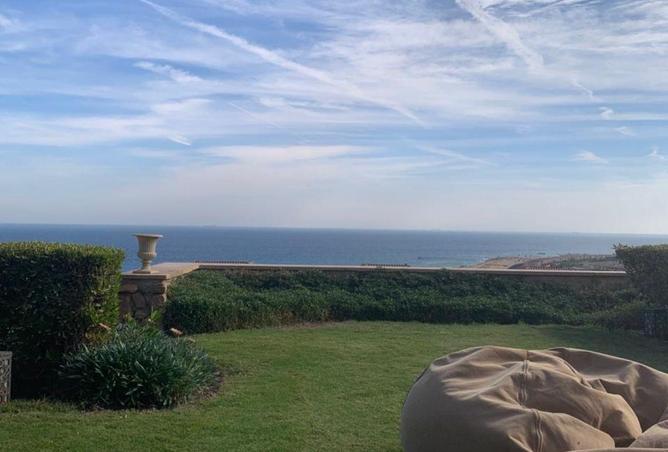 53983091 - Property Image 3