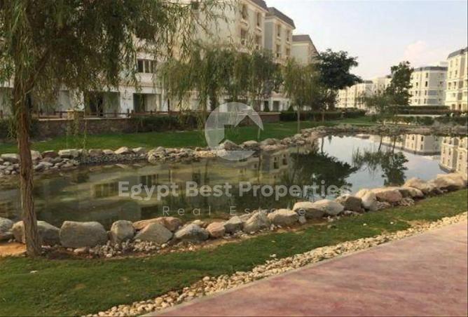 101768230 - صورة العقار 3