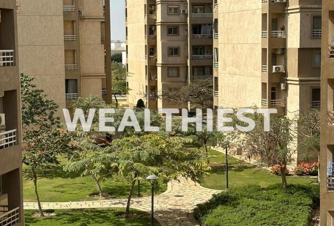 59251953 - Property Image 3