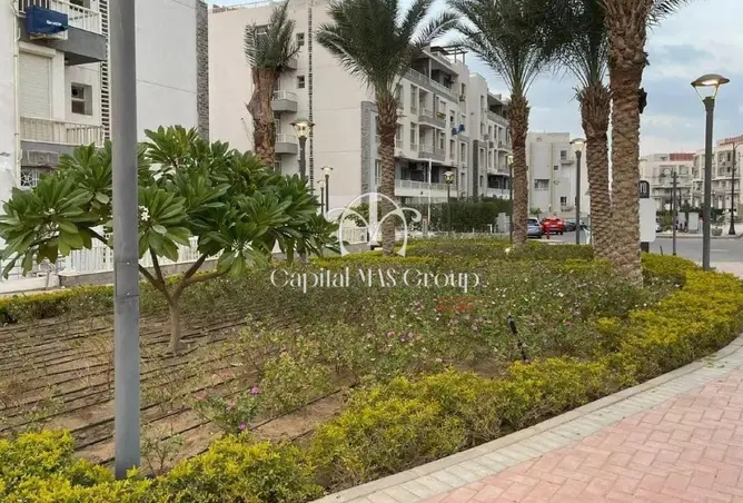 111028767 - صورة العقار 2