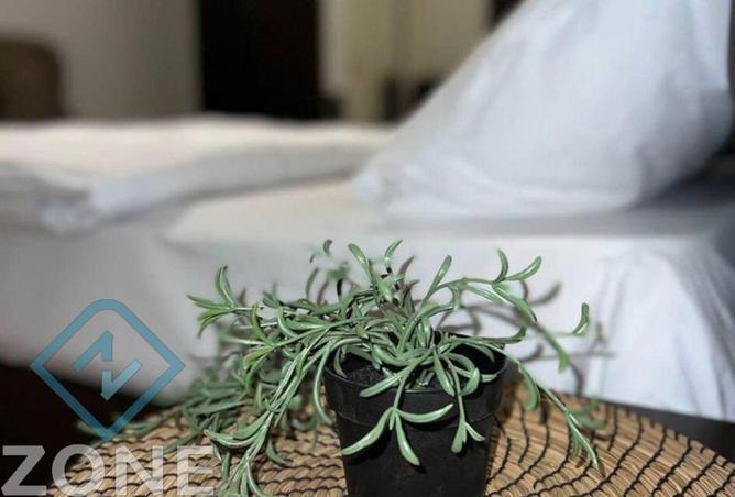 72177558 - صورة العقار 2