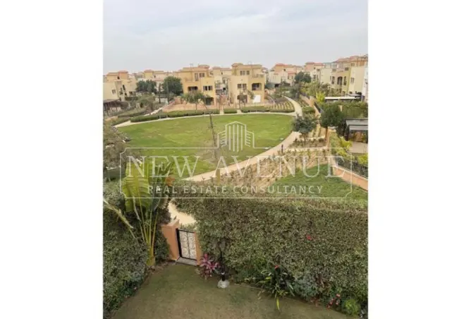 119337704 - Property Image 3