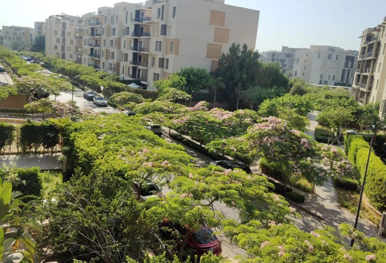 113521682 - الصورة الرئيسية للعقار