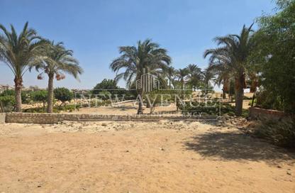 Villa - 4 - 5 for sale in New Giza - Cairo Alexandria Desert Road - 6 October City - Giza