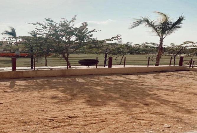 66174397 - Property Image 2