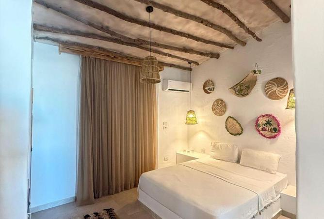 57501558 - Property Image 3