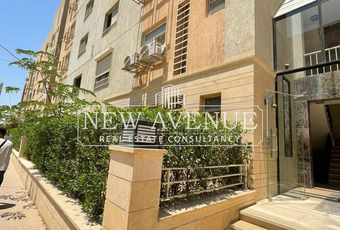 8461679 - Property Image 3