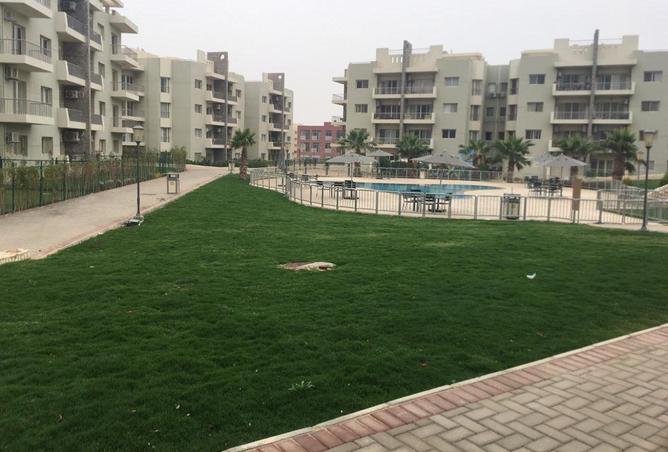 56245962 - Property Image 3