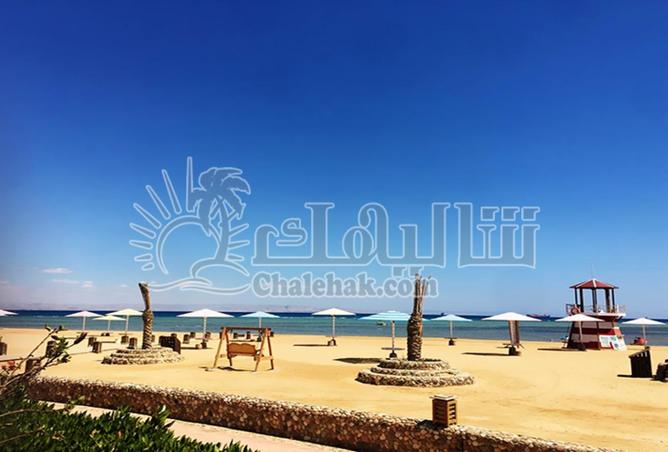 59246220 - صورة العقار 2