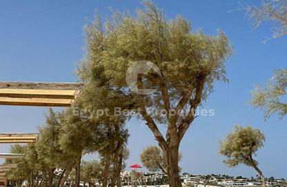 شاليه - 2 غرف نوم - 2 حمامات للبيع في سول الساحل الشمال - قسم الضبعة - الساحل الشمالي
