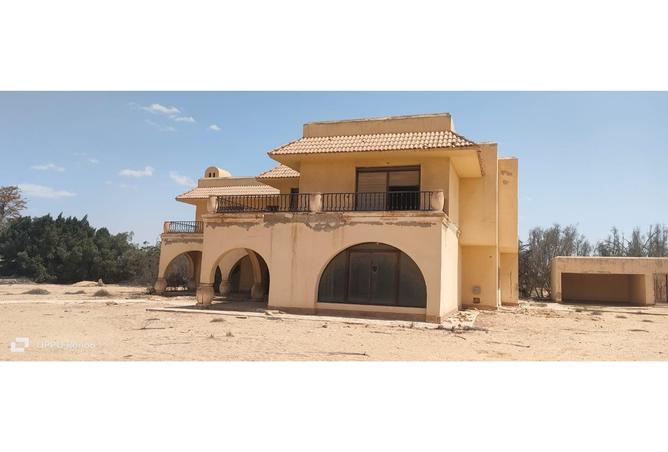 67999336 - Property Image 2