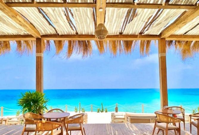 55254454 - Property Image 2