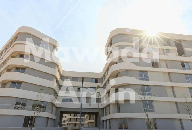 59745623 - Property Image 3