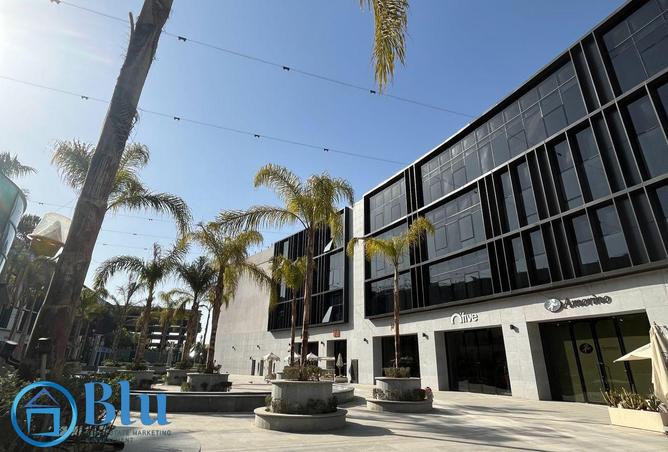 61438782 - Property Image 2