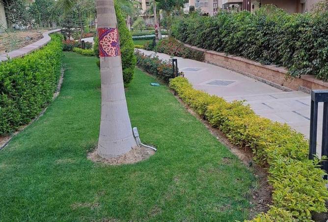 81057203 - صورة العقار 3