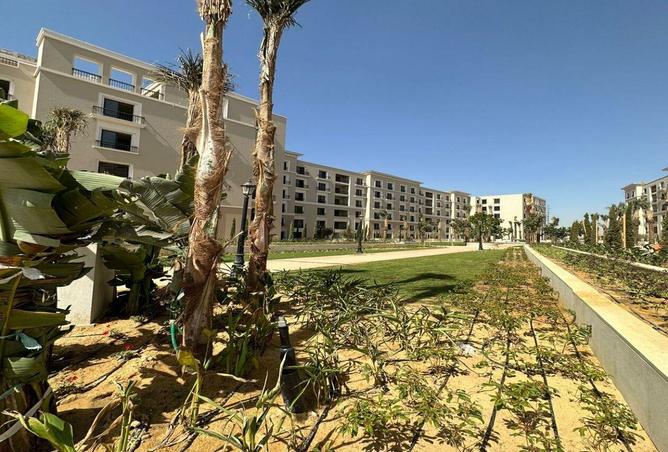 54487015 - صورة العقار 3