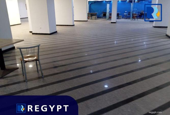 61682437 - صورة العقار 3