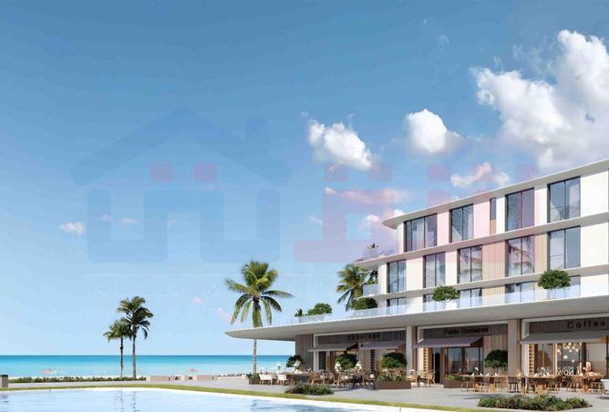 73232384 - Property Image 3
