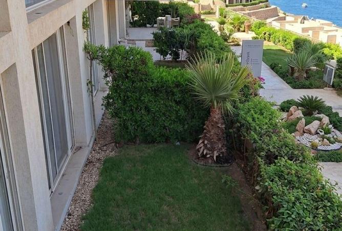 74590675 - صورة العقار 3