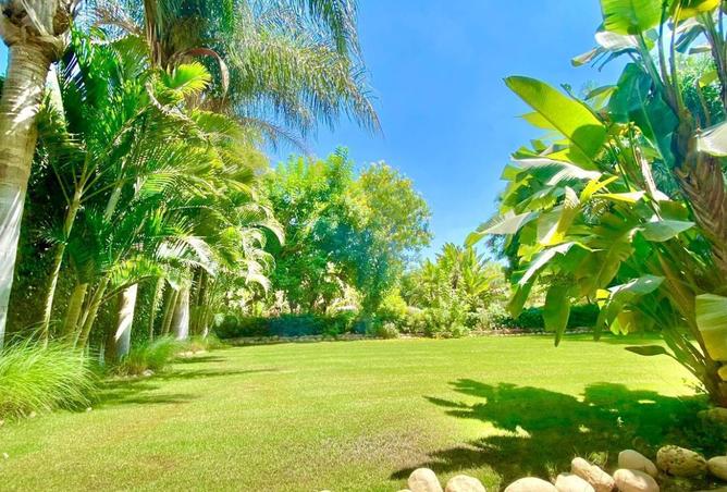 8416125 - الصورة الرئيسية للعقار