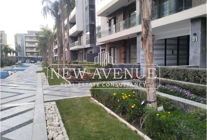 59245172 - Property Image 3