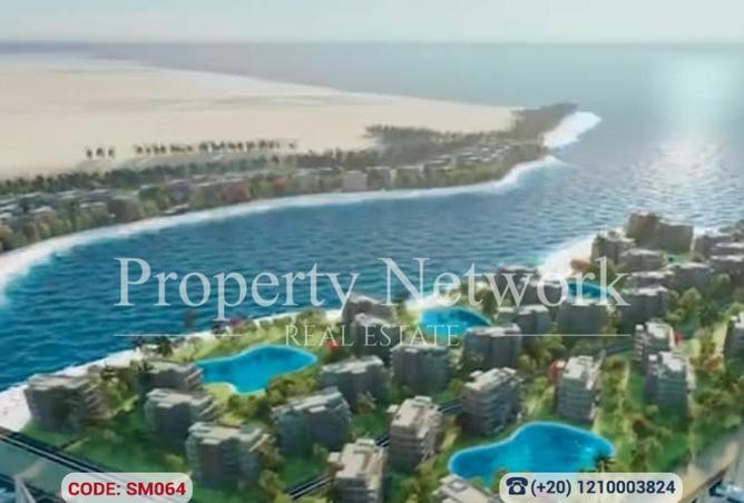 56244716 - Property Image 3