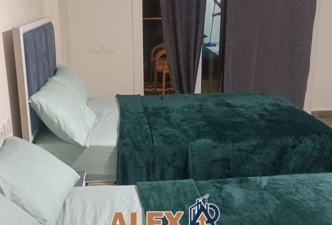 81318095 - صورة العقار 3
