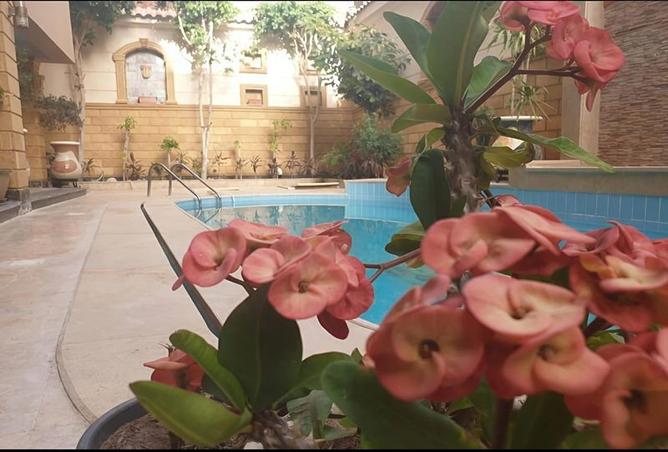 54231333 - Property Image 2