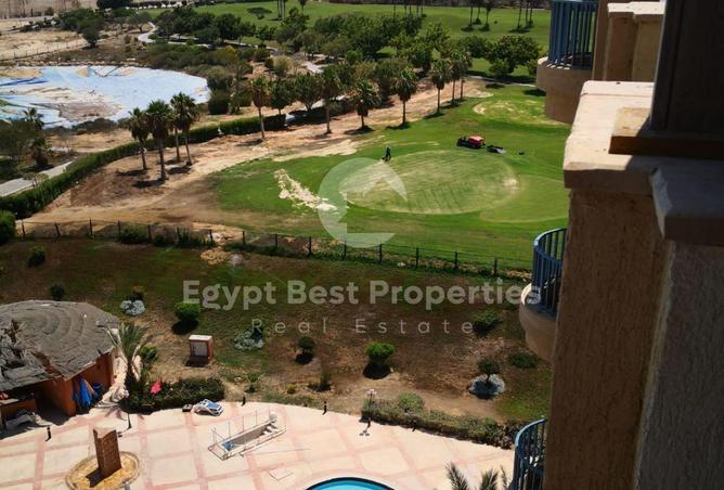 66173073 - صورة العقار 3