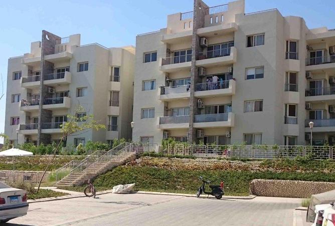 56506656 - Property Image 2