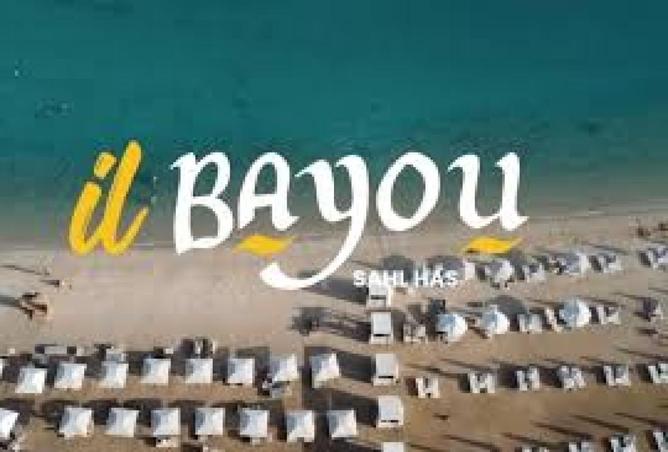 64393918 - Property Image 2