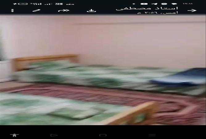 52445978 - Property Image 3