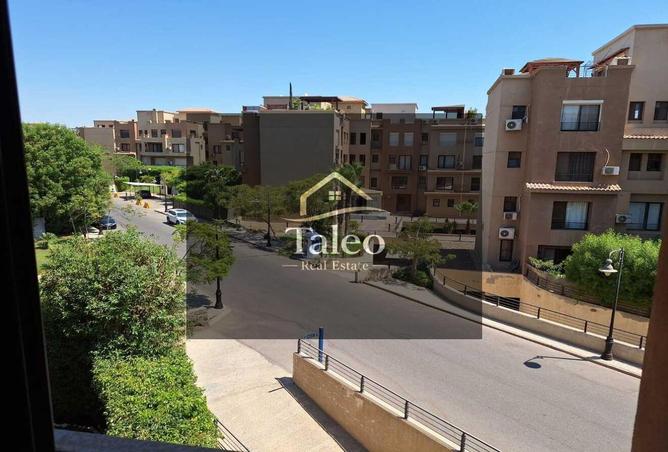80791866 - صورة العقار 3