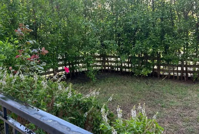 111021616 - Property Image 2