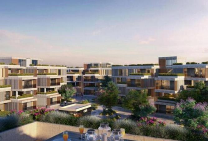 65153994 - صورة العقار 2