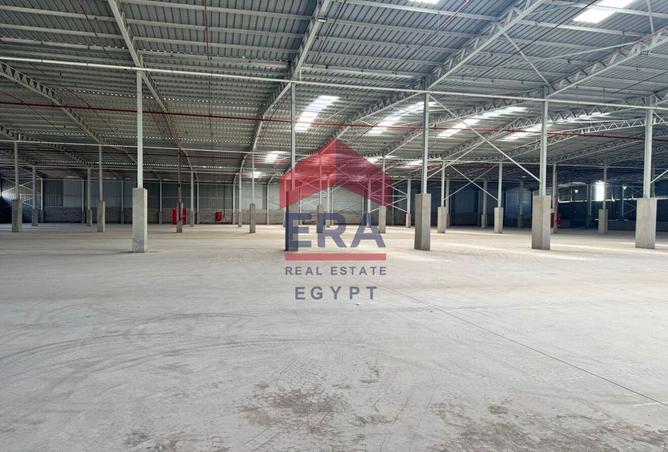 99384185 - صورة العقار 3