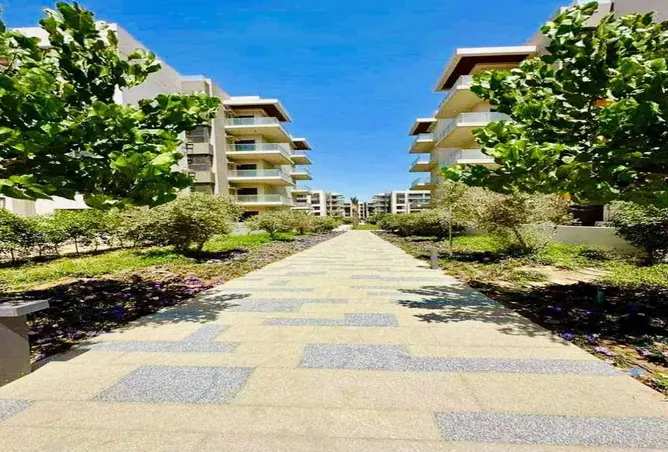 116488697 - صورة العقار 3