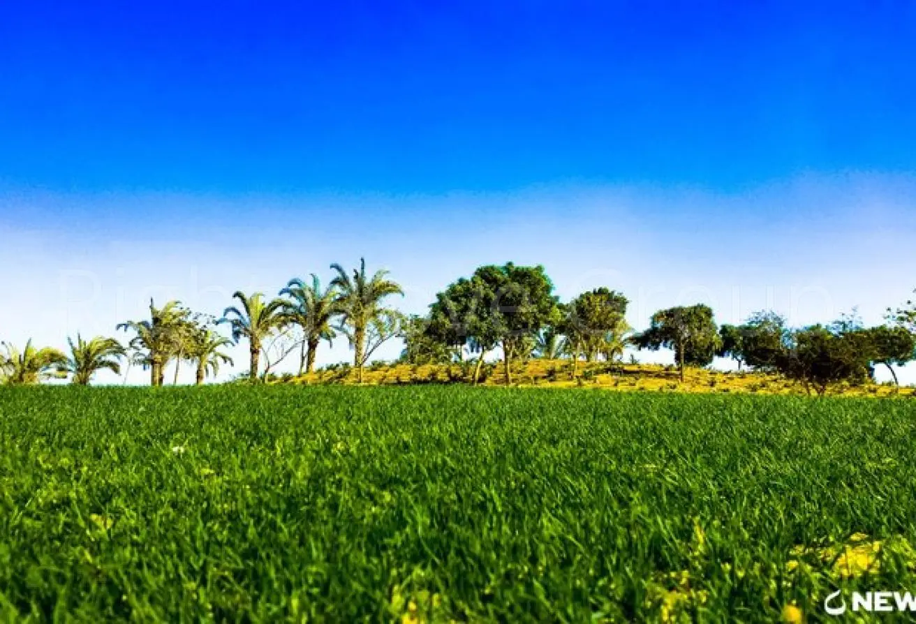 116232462 - الصورة الرئيسية للعقار